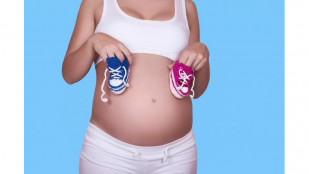 ​Nejžádanější je příspěvek na vakcínu proti klíšťové encefalitidě