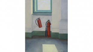 Malba Ostravy od Antonína Střížka má výstavní premiéru v Ostravě