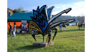 Největší hudební akce na Opavsku uvítá Langerovou, Dyka a další