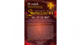 Festival SOUZNĚNÍ 2017 pořádá Finanční sbírku pro Pepíka Maliníka