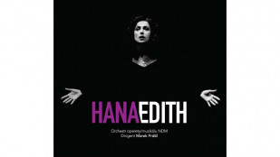 Rekonstrukce Divadla J. Myrona pokračuje. Lístky koupíte v DAD