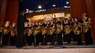 Na Jarním písňovém festivalu zazní čeština, slovenština, angličtina, ale i africký jazyk Zulu!