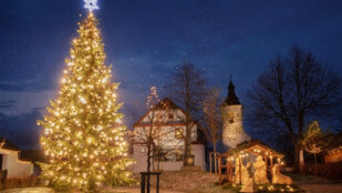 ČEZ pomůže v Moravskoslezském kraji rozsvítit 45 stromečků