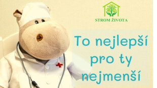 Možná hledáte projekt, kde letos pomoci. Hospic Strom života chce posílit péči o děti, které odchází