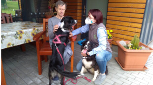 ADRA Ostrava hledá dobrovolníky do Čtyřlístku