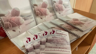 Deník z inkubátoru pomáhá rodičům nedonošených dětí