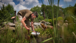 Pivovar Radegast spustil jubilejní 20. ročník grantového programu Radegast lidem