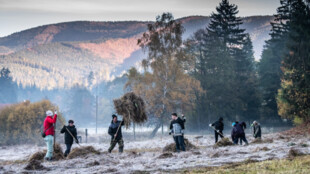 Radegastovy tůně v Beskydech „mají uklizeno“. Pomohli také dobrovolníci