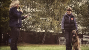 Vodárenská podpora kynologie