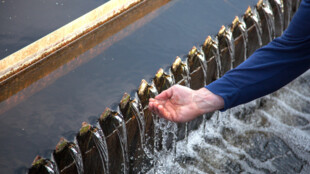 Zbytky hodování do kanalizace nepatří! Buďme odpovědní