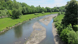 Štěrkonosné toky vodohospodáři v povodí Odry udržují přírodě blízkým způsobem