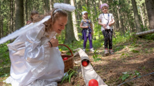 Krakonoš, piráti i Bob a Bobek: děti čeká v neděli 9. června Pohádková cesta lesem