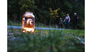 Ve Velkých Karlovicích bude v sobotu 12. října Podzimní kouzlení se stezkou odvahy