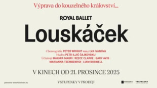 Tip na vánoční dárek: filmové tipy