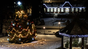 ČEZ rozsvítil v Moravskoslezském kraji 60 stromečků, podpořil i obce zasažené povodněmi