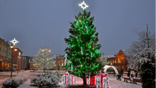 Soutěž o nejkrásnější vánoční strom vyhrál Bohumín, získá 300 000 od Nadace ČEZ