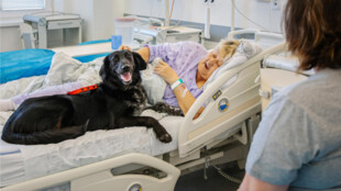 Canisterapeuti se svými čtyřnohými svěřenci působí už na 14 odděleních FN Ostrava