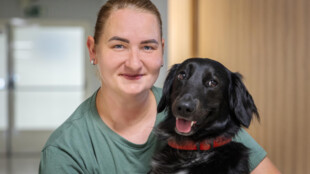 Canisterapeuti se svými čtyřnohými svěřenci působí už na 14 odděleních FN Ostrava