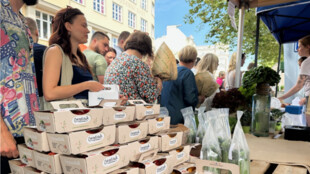 Novinky, farmářské speciality i street food. Trhy, co se hledají opět oživí ostravské nábřeží