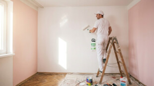Jak se v zimě trvale zbavit plísně na zdi? Proč jen savo nepomůže