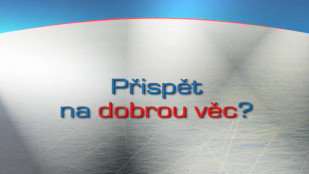 Charitativní aukce originálních hokejových dresů končí již tento pátek 21. 10. 2011!