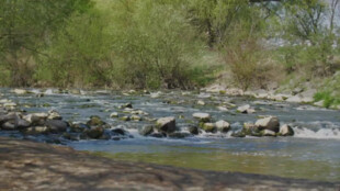 Projekt Haló, nejste sami pomohl tisícům seniorů