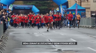 RBP, Zdravotní pojišťovna parterem Hornické desítky