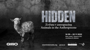 HIDDEN / Zvířata v antropocénu