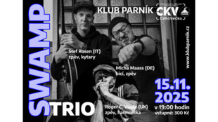 Swamp trio / koncert