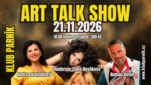 ART TALK SHOW