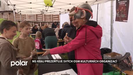 Moravskoslezský expres