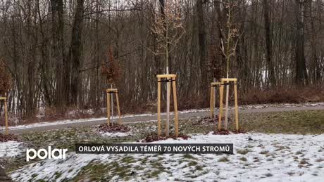 Orlovský miniexpres