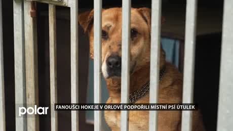 Orlovský miniexpres