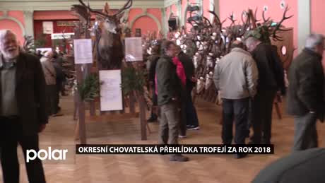 Bruntálský miniexpres