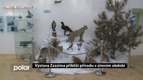 Frýdeckomístecký expres