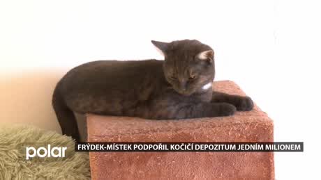 Frýdeckomístecký expres