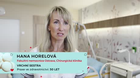 Moravskoslezská SESTRA 2026