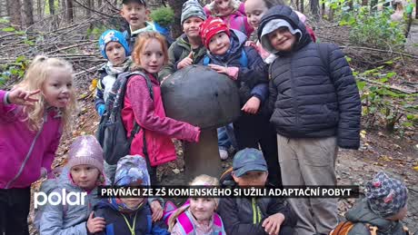 Frýdlantský miniexpres