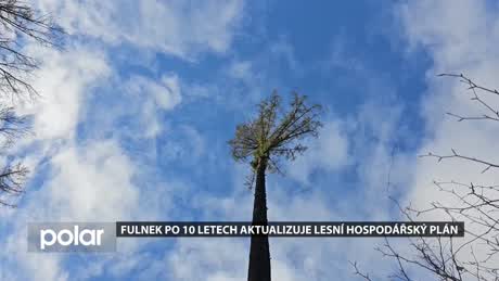 Fulnecký miniexpres