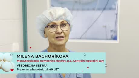 Moravskoslezská SESTRA 2026