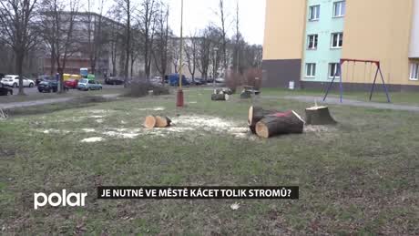 Havířovské otázky