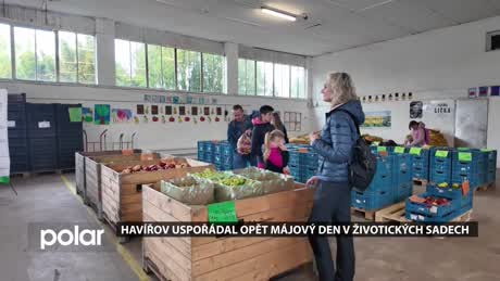 Havířovský expres