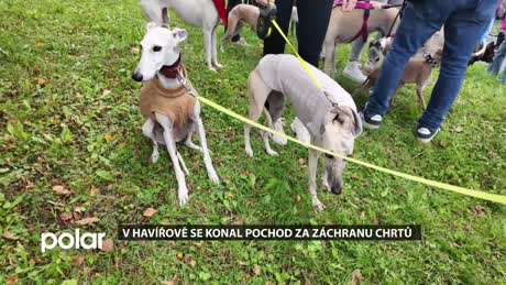 Havířovský expres