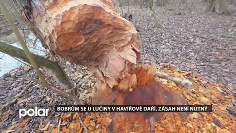 Havířovský expres