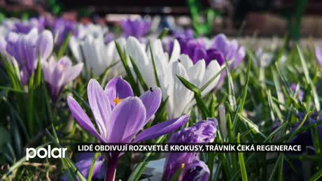 Havířovský expres