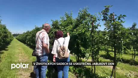 Havířovský expres