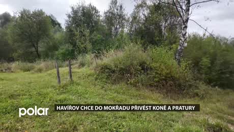 Havířovský expres