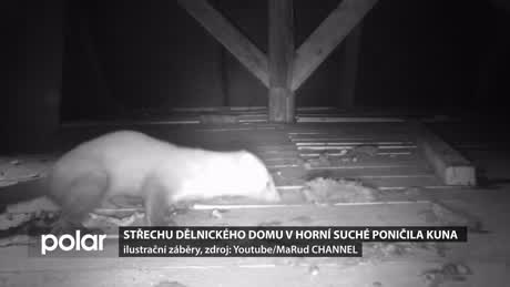 Miniexpres Horní Suché