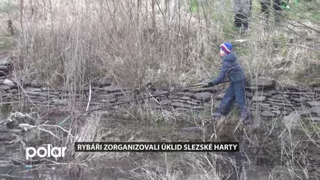 Jesenický expres