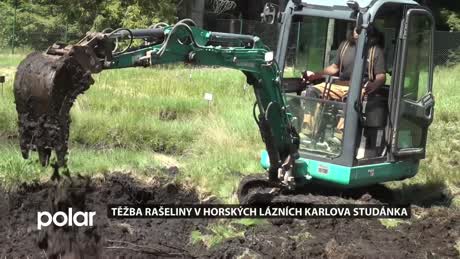 Jesenický expres